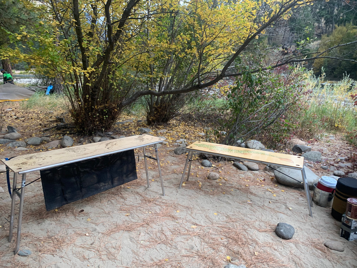 Middle fork salmon 
